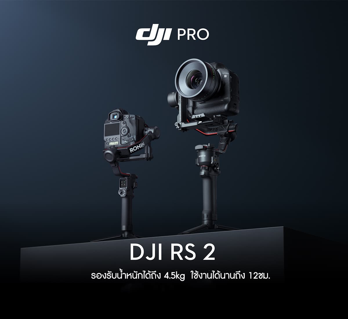 DJI RS 2 Pro Combo - Camera Shop